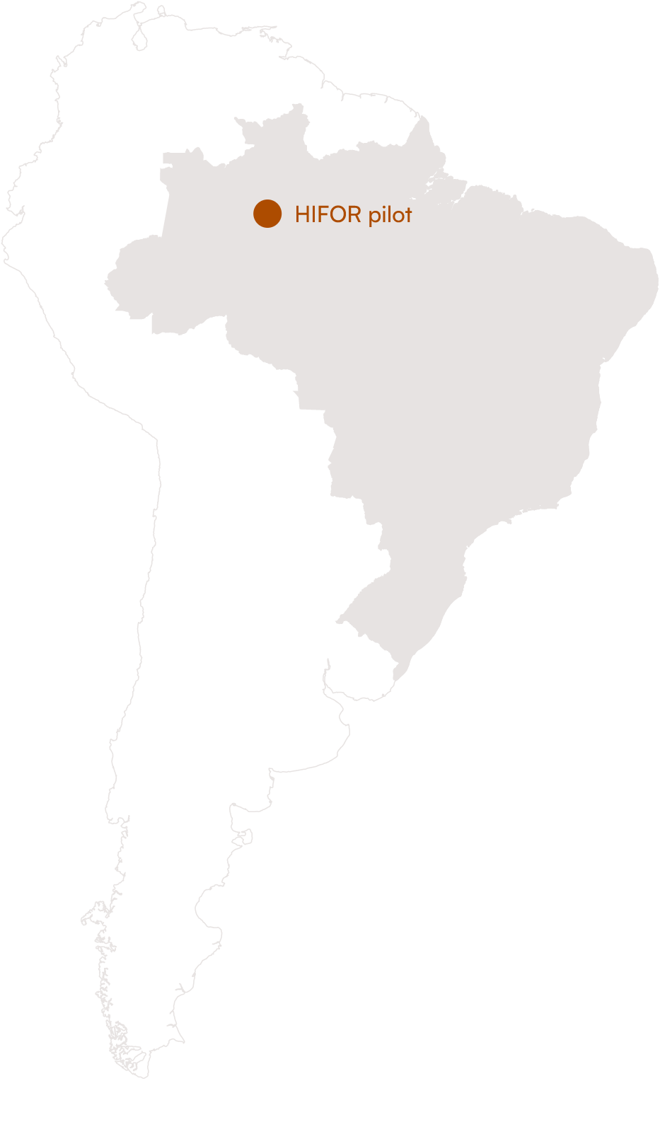 Jaú National Park