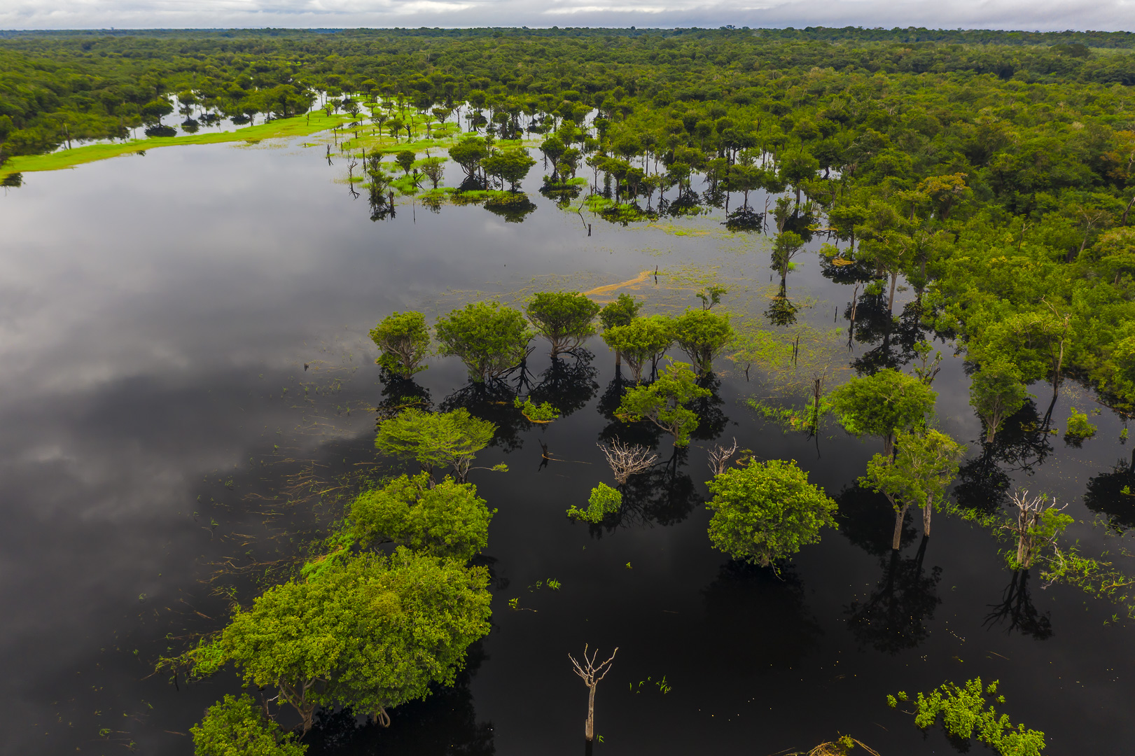 The Business Case For Nature: Why Nature Needs To Be On The Corporate Balance Sheet